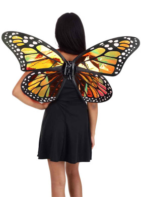 Прозрачные крылья Бабочки