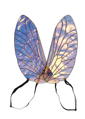 Пчелиные крылышки