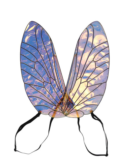 Бджолині крильця