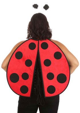 Крылья солнышка набор