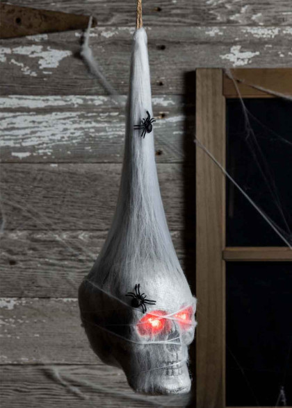 Череп у павутині