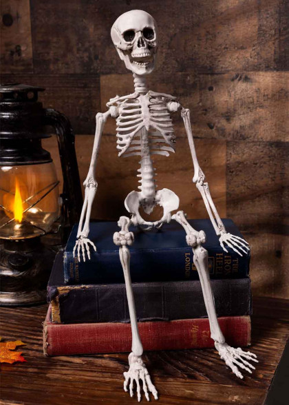 Скелет пластмасовий