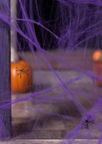 Фіолетова павутина