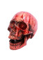 Кровавый череп, HC5046