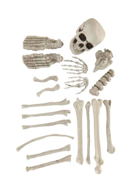 Набор костей Скелета