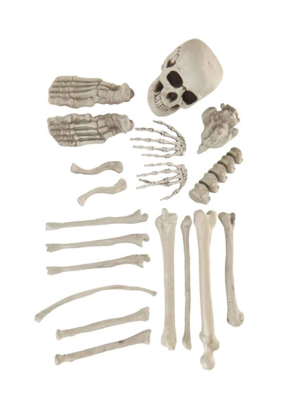Набір кісток Скелета