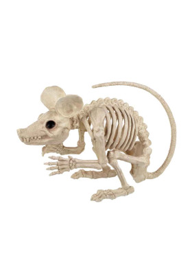 Скелет крысы