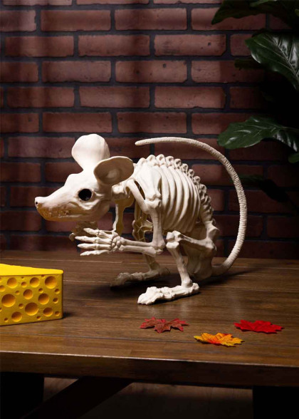 Скелет криси