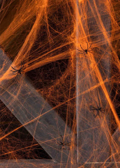 Павутина помаранчева