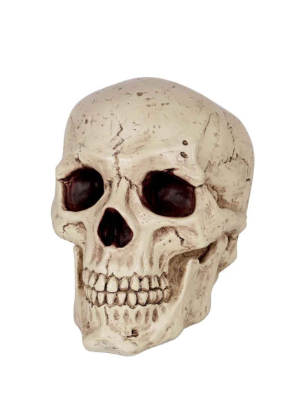 Реалістичний череп