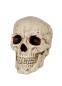 Реалистичный череп, HC5053