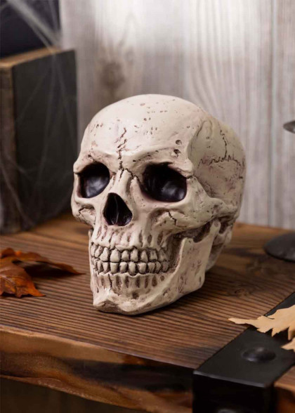Реалістичний череп