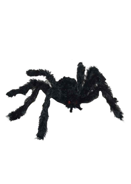 Волохатий павук