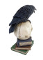 Статуэтка Ворон и Череп, HC5065
