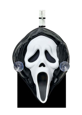 Лицо призрака на окно